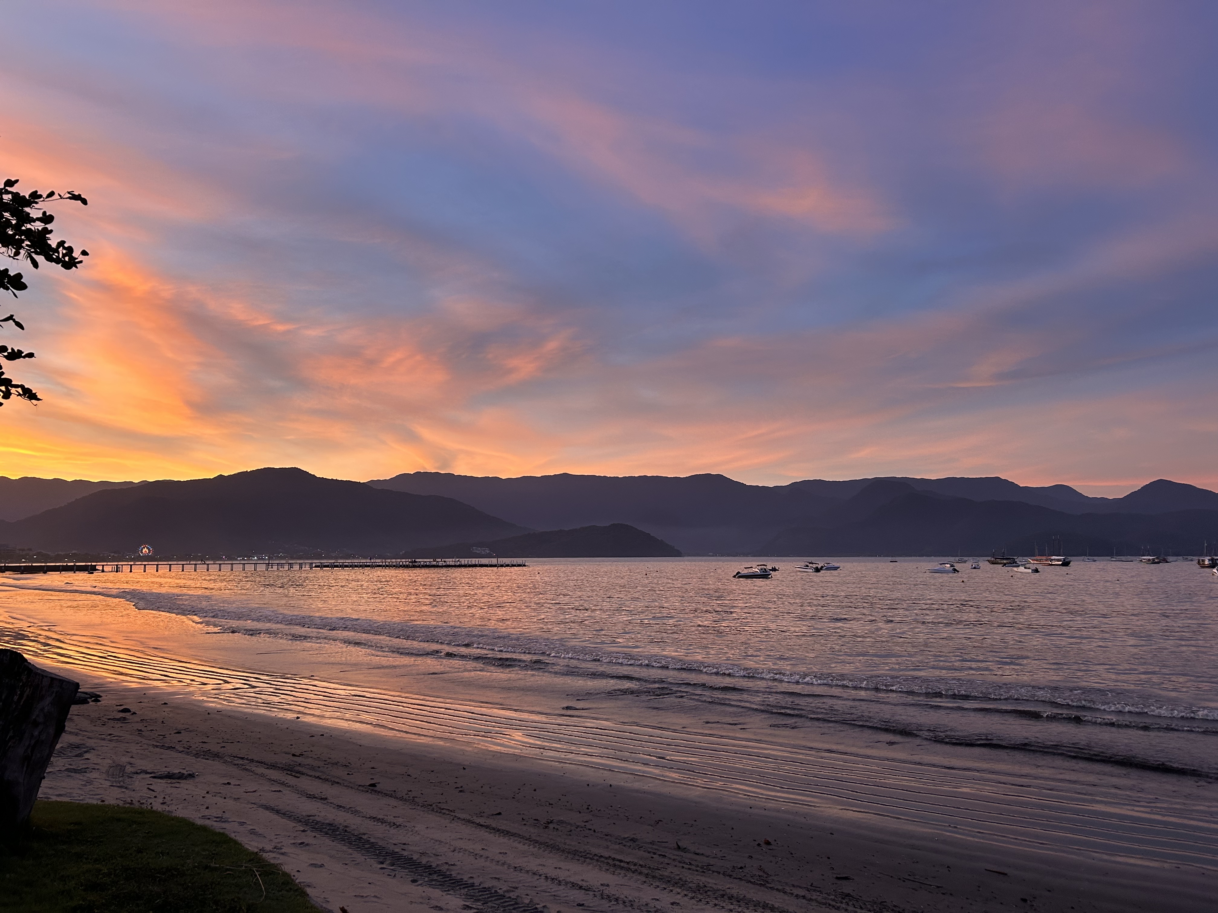 Cidade viva, tudo em um app